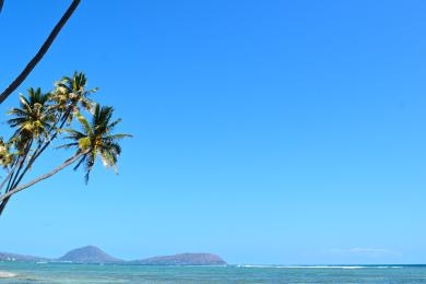 Sandee - Wailupe Beach Park