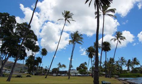 Sandee - Wailupe Beach Park