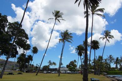 Sandee - Wailupe Beach Park