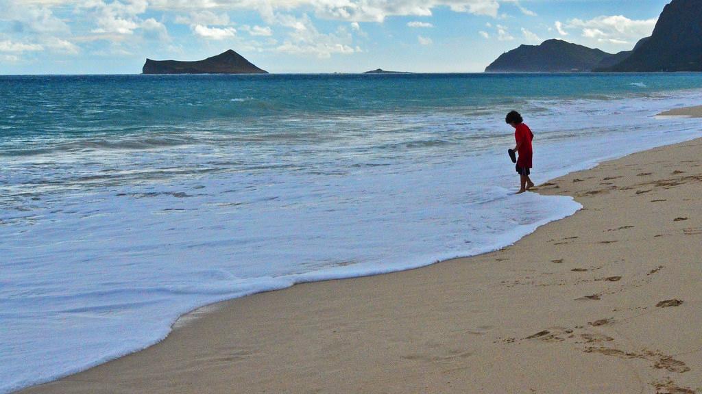 Sandee - Waimanalo Beach Park