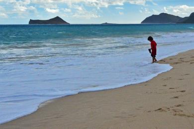 Sandee - Waimanalo Beach Park