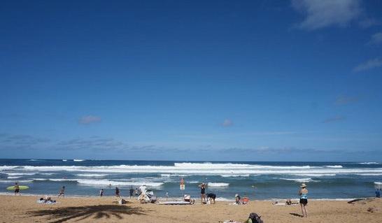 Sandee - Haleiwa Alii Beach Park