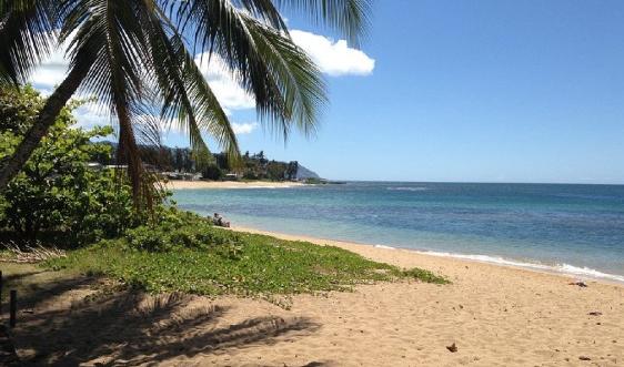 Sandee Haleiwa Alii Beach Park Photo