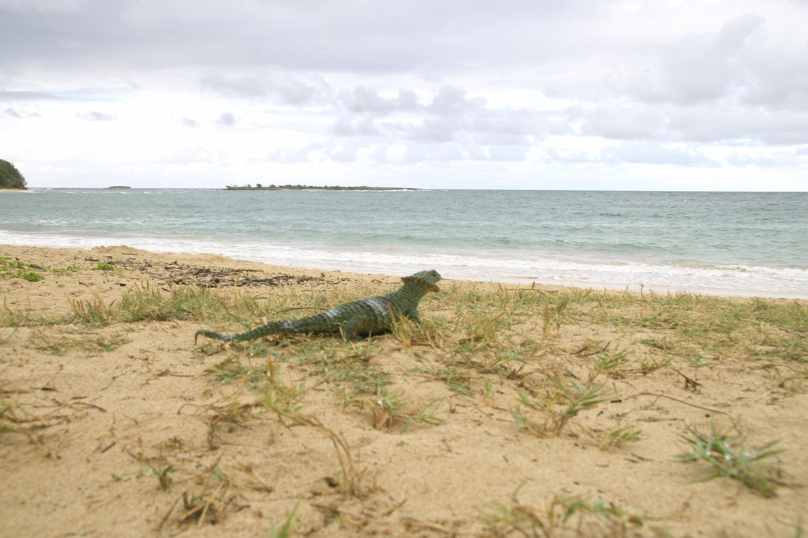 Sandee - Hukilau Beach