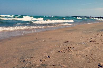 Sandee Nunn Beach And Marina