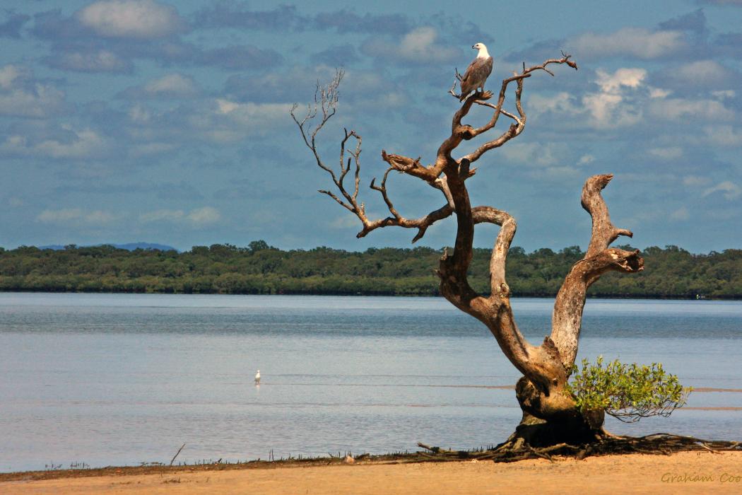 Sandee Rainbow Beach Photo