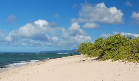 Sandee - Mokuleia Beach Park