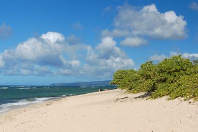 Sandee - Mokuleia Beach Park