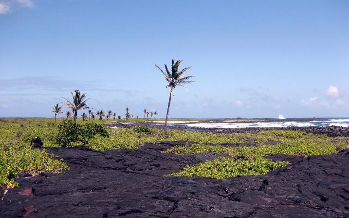 Sandee - Apua Beach