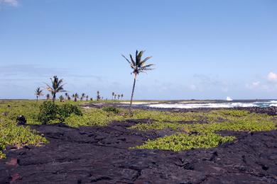 Sandee - Apua Beach