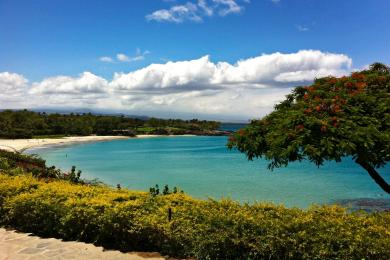 Sandee - Mauna Kea Beach