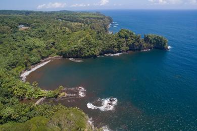 Sandee Onomea Bay Beach Photo