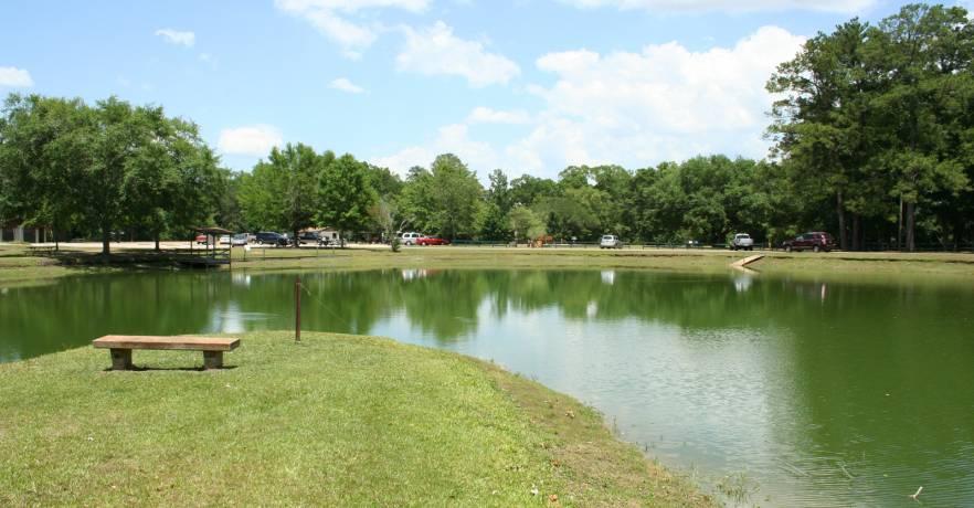 Sandee - Blue Springs State Park