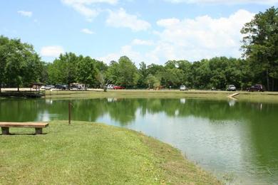 Sandee - Blue Springs State Park