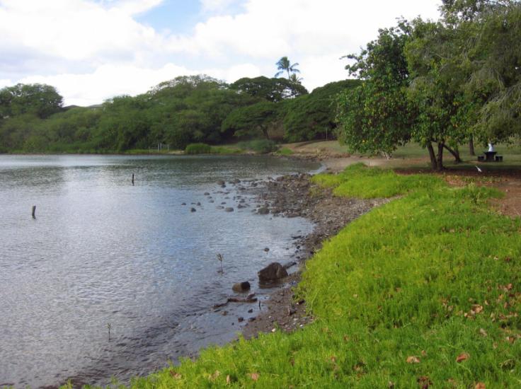 Sandee - Aiea Beach Park