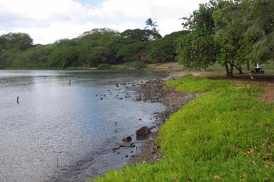 Sandee - Aiea Beach Park