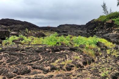 Sandee Leahi Beach Park Photo