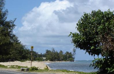 Sandee - Punaluu Beach Park