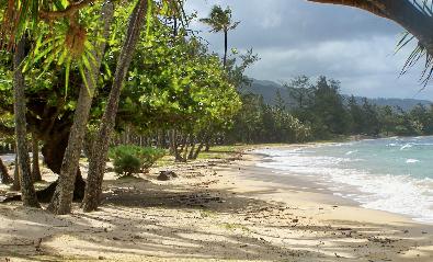 Sandee - Punaluu Beach Park