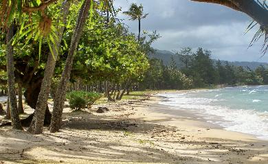 Sandee - Punaluu Beach Park