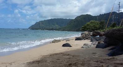 Sandee - Punaluu Beach Park