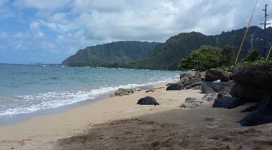 Sandee - Punaluu Beach Park