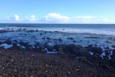 Sandee - Punaluu Beach Park