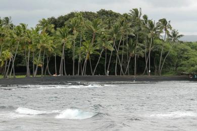 Sandee - Punaluu Beach Park