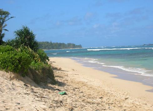 Sandee - Temple Beach Park