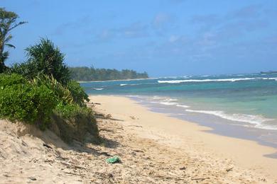 Sandee - Temple Beach Park