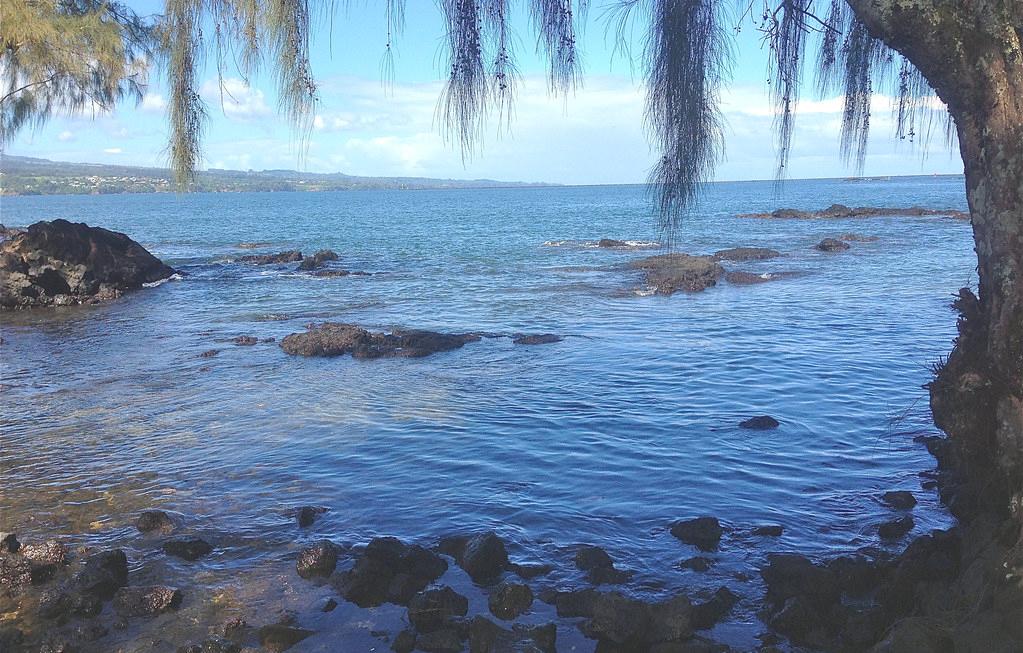 Sandee - Punaluu Beach Park