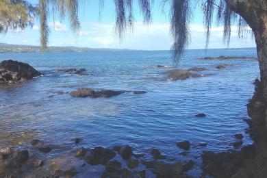 Sandee - Punaluu Beach Park