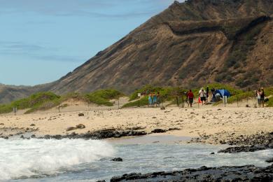 Sandee - Honouli Maloo Bay Beach