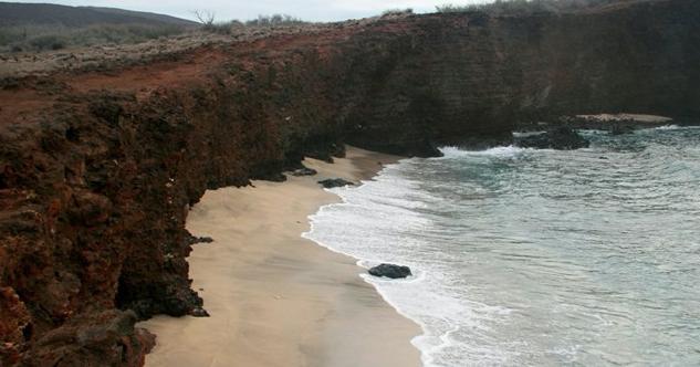 Sandee - Shark's Bay