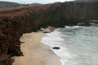 Sandee - Shark's Bay