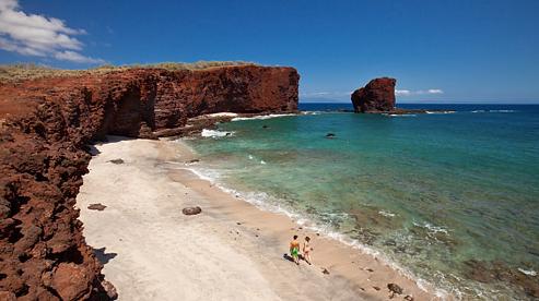 Sandee - Shark's Bay