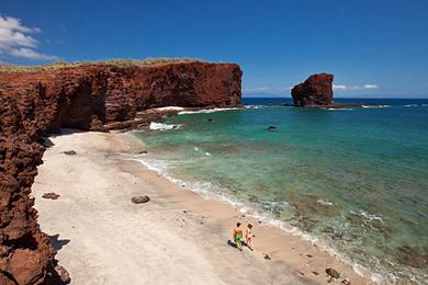 Sandee - Shark's Bay