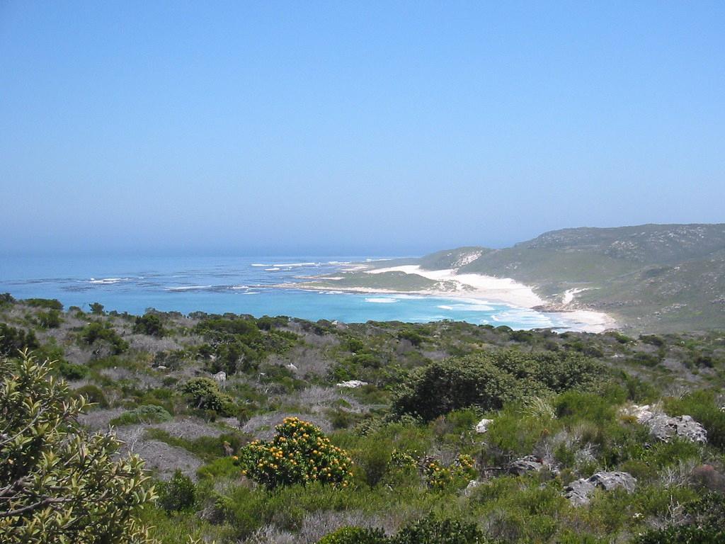 Sandee - Buffels Bay Beach – Kynsna