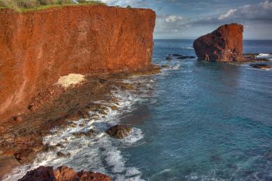 Sandee Shark's Bay Photo