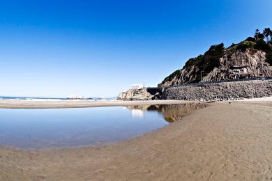 Sandee Ocean Beach