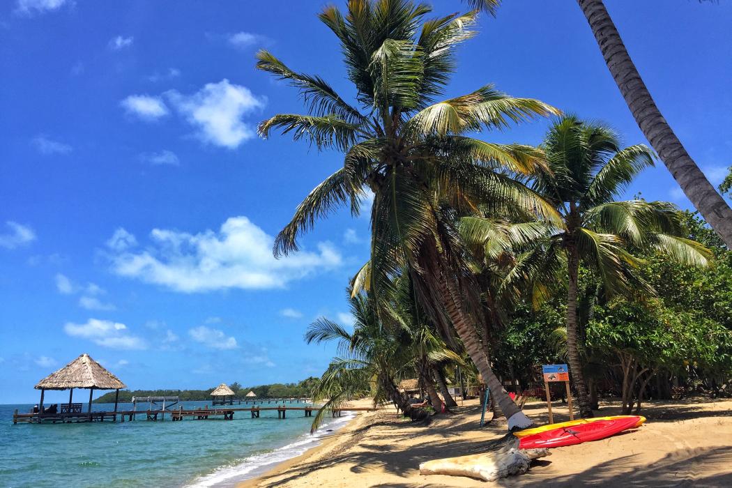 Sandee Hopkins Village Beach Photo