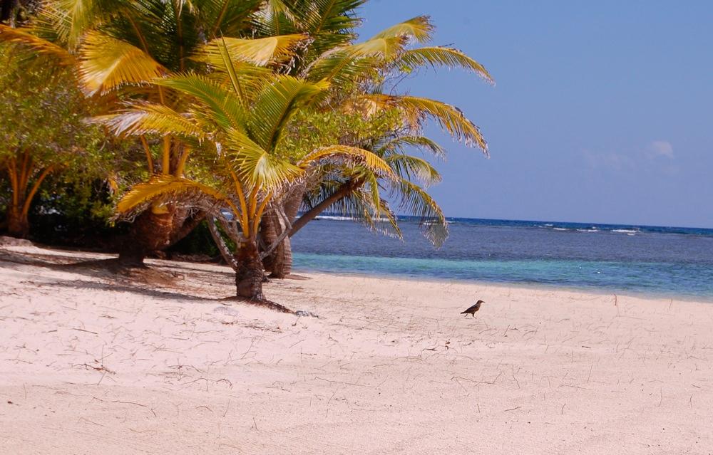 Sandee South Water Caye