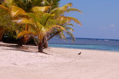 Sandee South Water Caye