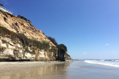 Sandee Fletcher Cove
