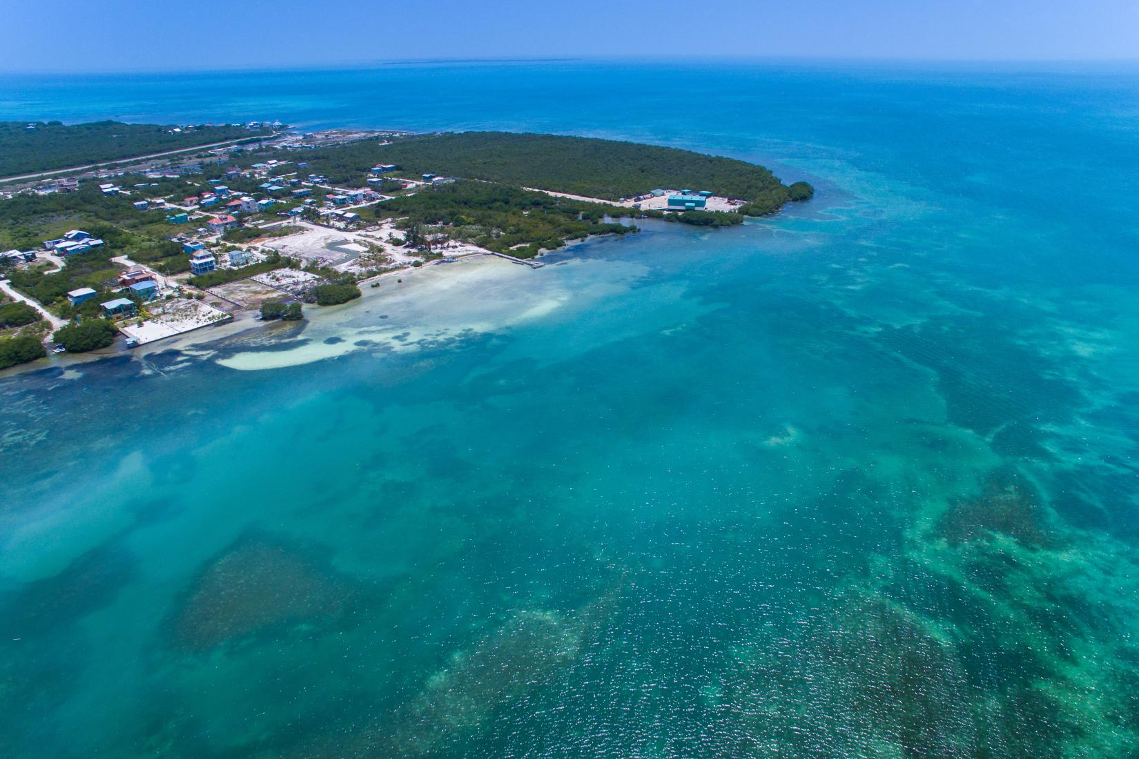 Sandee - Caye Caulker