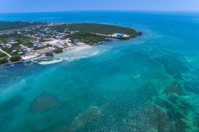 Sandee - Caye Caulker