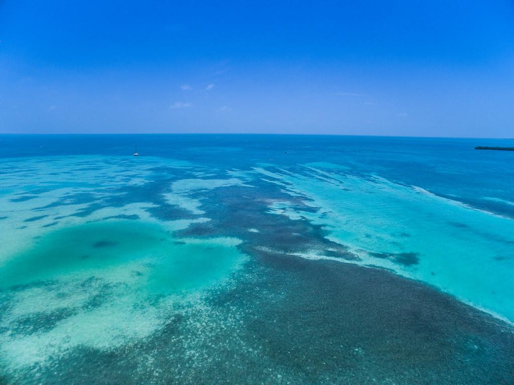 Sandee - Caye Caulker