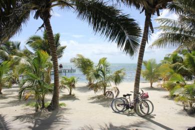 Sandee - Caye Caulker