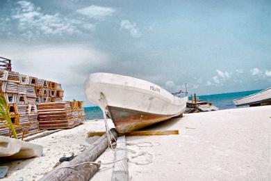 Sandee - Caye Caulker