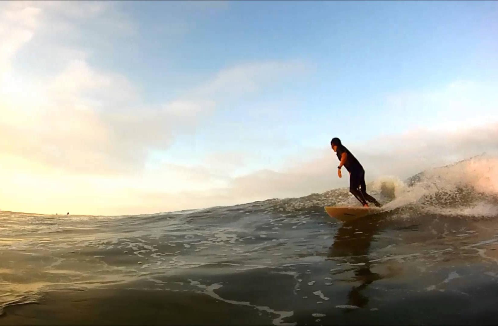 Sandee - Boneyard Beach